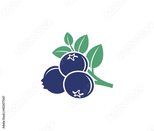 Blueberry logo. Isolated blueberry on white background