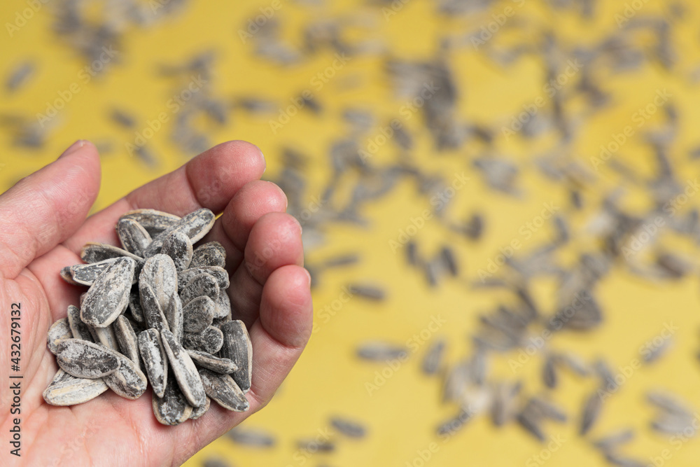 Hand holding a pile of sunflower seeds on a yellow background Hand holding a pile of sunflower seeds on a yellow background