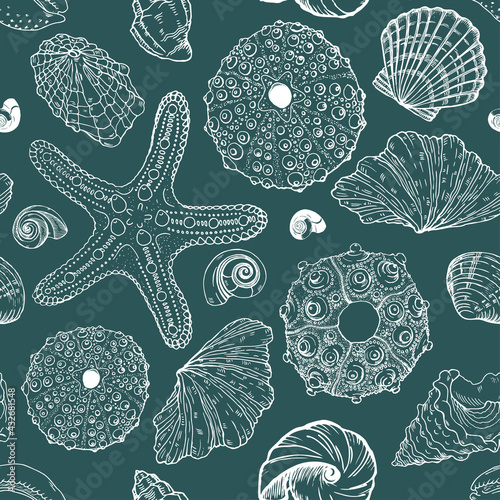 Sea creatures, starfish, sea urchins and seashells