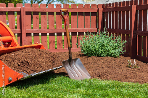 Tractor loader with wood chips or mulch and flowerbed. Lawncare, gardening and backyard landscaping concept photo