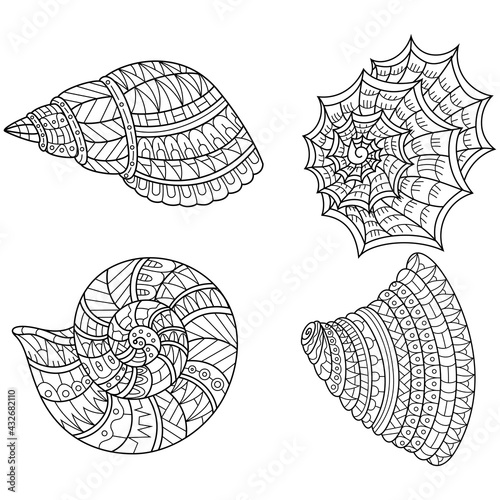 Hand drawn of shells set in zentangle style