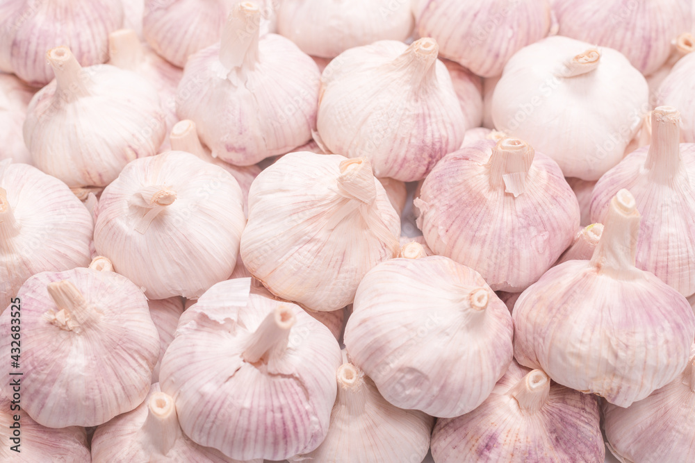 Group of garlic isolated on a white background. Group of garlic isolated on a white background.