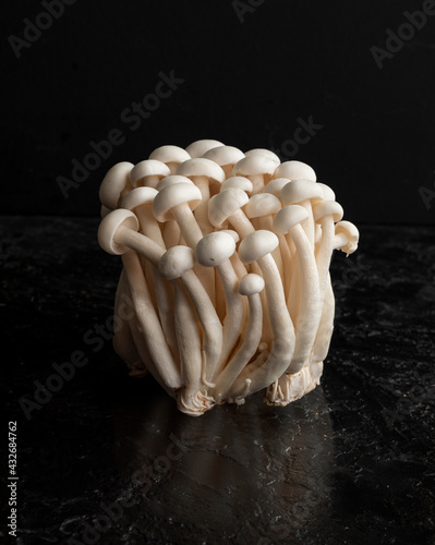 Fresh shimeji mushrooms on a black background photo