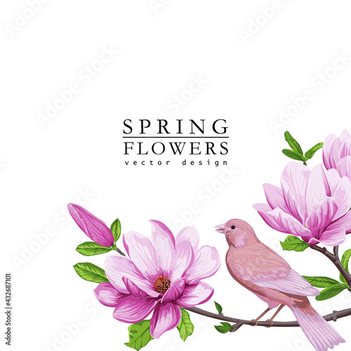 Spring greeting card with magnolia flowers