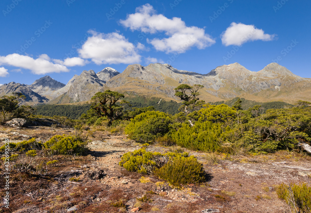 Humboldt mountains from Key Summit Track in Fiordland National Park, South Island, New Zealand