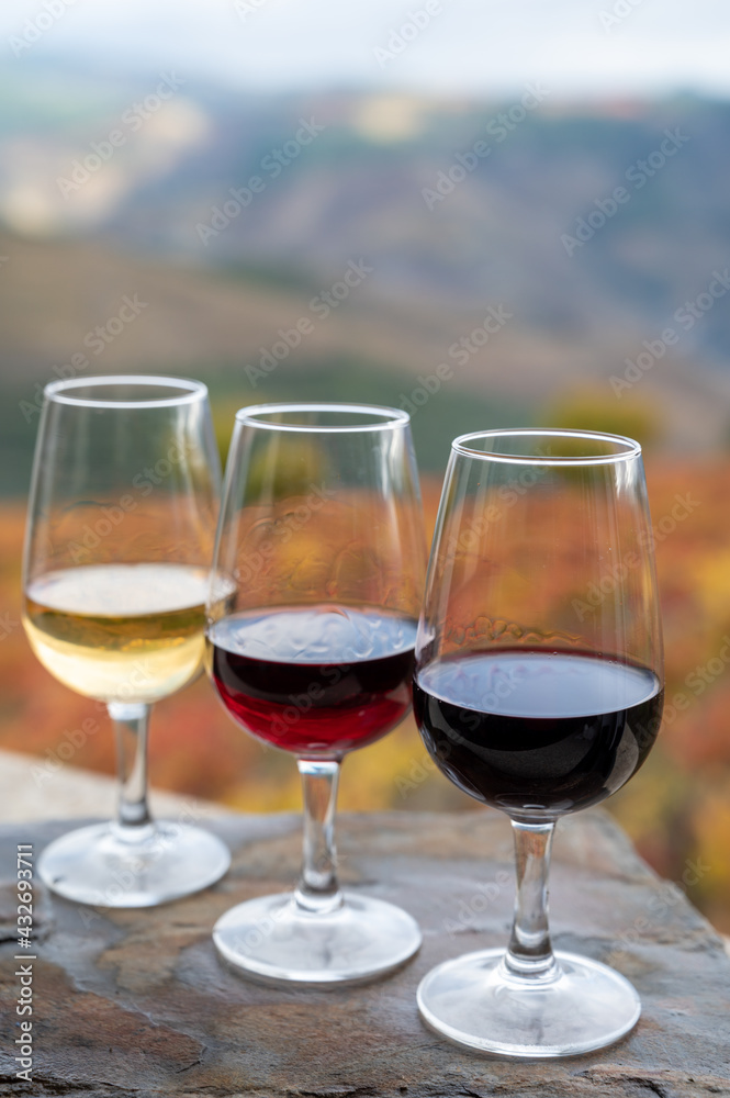 Tasting of Portuguese fortified port wine, produced in Douro Valley with colorful terraced vineyards on background in autumn, Portugal