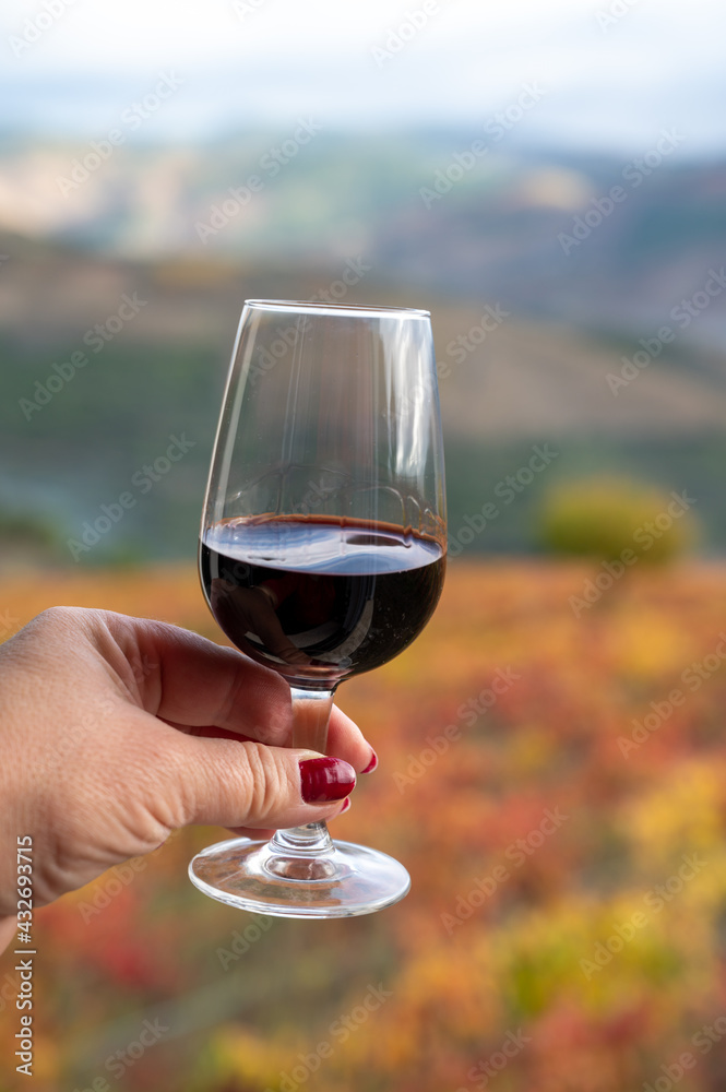 Tasting of Portuguese fortified port wine, produced in Douro Valley with colorful terraced vineyards on background in autumn, Portugal