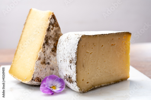 Cheese collection, Tomme de Savoie cheese from Savoy region in French Alps,  mild cow's milk cheese with beige interior and thick brownish-grey rind photo