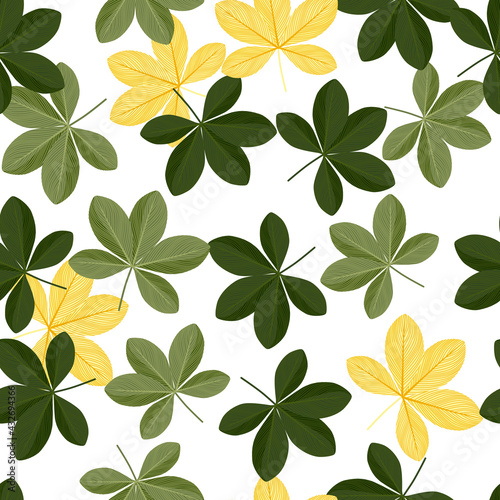 Botanic seamless pattern with random green and yellow scheffler flowers print. White background.