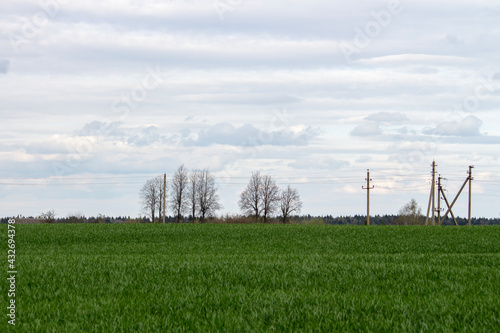 power lines on a field