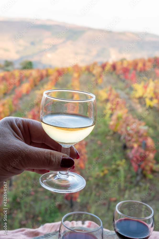 Fototapeta premium Tasting of Portuguese fortified port wines produced in Douro Valley with colorful terraced vineyards on background in autumn, Portugal