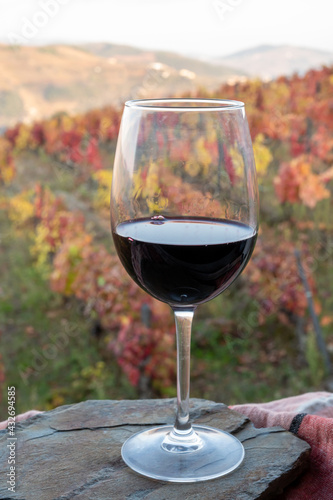 Glass of Portuguese red dry wine, produced in Douro Valley and old terraced vineyards on background in autumn, wine region of Portugal