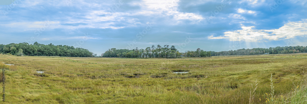 scenic swamp landscape in Scarboro