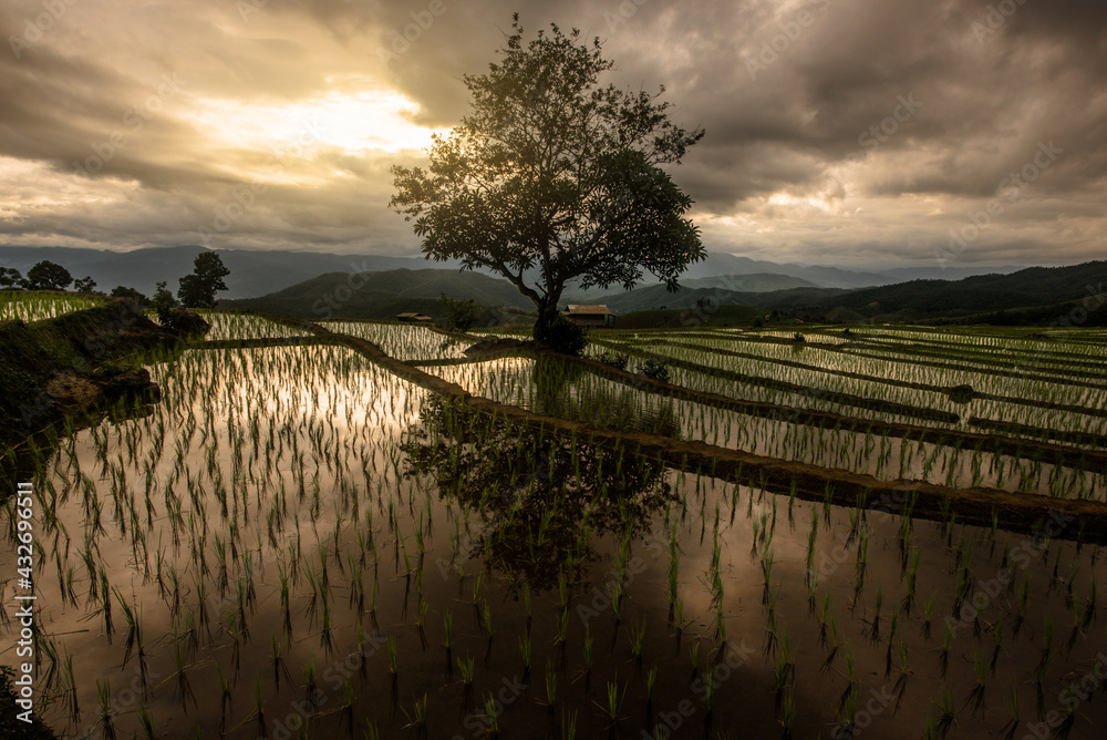 Beautiful view of rice terraces in Chiang Mai, Thailand. Chiang Mai is naturally beautiful in Thailand, Southeast Asia.
