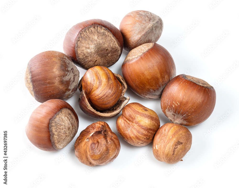 shelled and unshelled hazelnuts closeup on white shelled and unshelled hazelnuts closeup on white