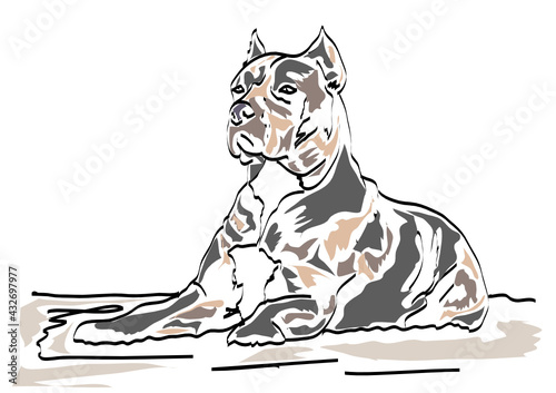 illustration of a dog