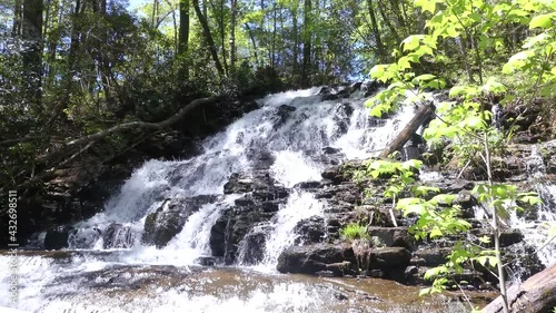 Georgia Vogel Park Springtime  A wide side view of Trahlyta Falls with trees and rocks photo