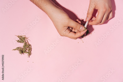 Hands making herbal dry cannabis Cigarettes on pink background with hard shadows. Top view