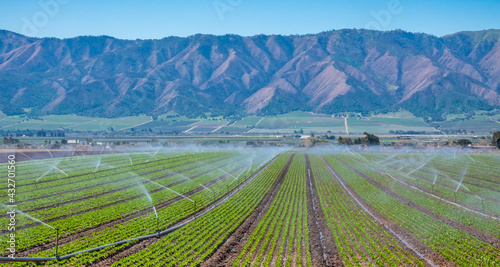 A field irrigation sprinkler system waters rows of lettuce crops on farmland in the Salinas Valley of central California, in Monterey County. 