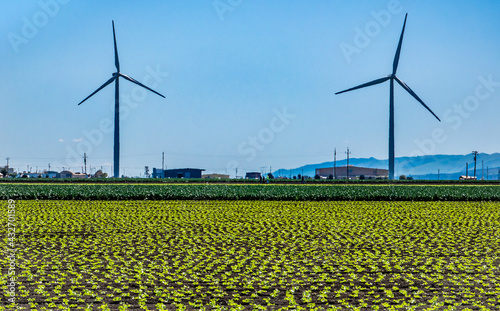 Two wind turbines produce green energy electricity in Gonzales, California., with agricultural crops in the foreground.   photo