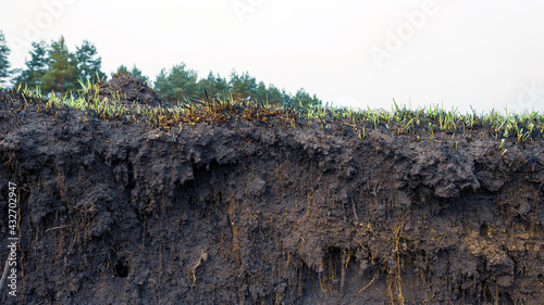 Countryside dirt road rising on a hill, natural landscape