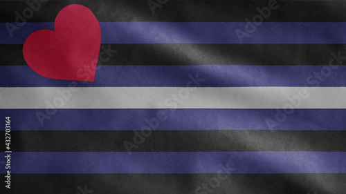 Leather pride flag waving in the wind. BDSM community banner blowing.