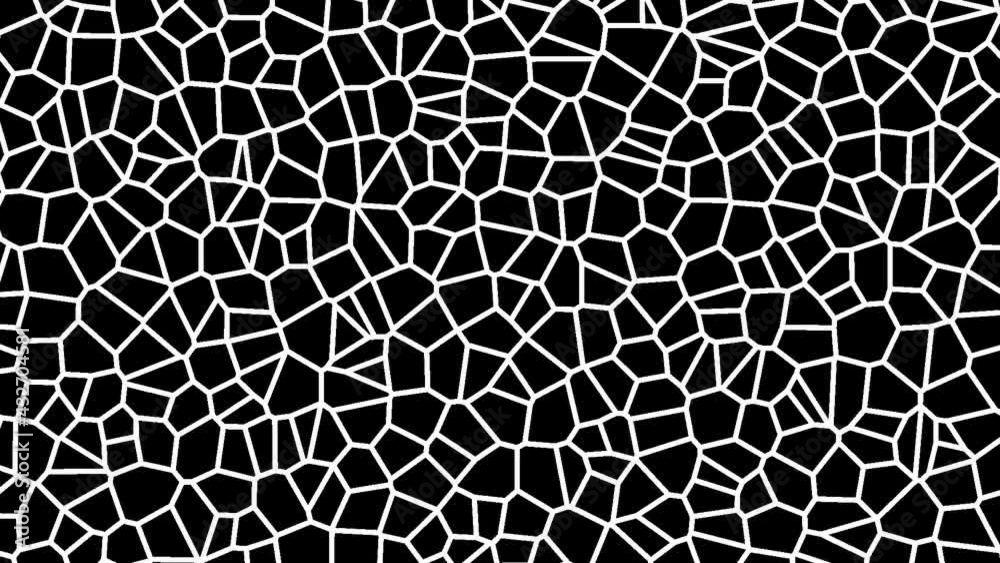 animated Voronoi diagram animated Voronoi diagram