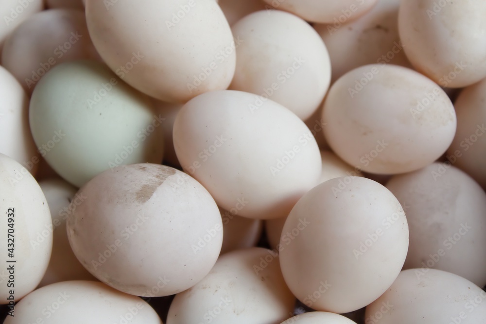 Saveral white duck eggs are in a shopping basket. Saveral white duck eggs are in a shopping basket.