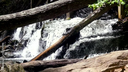 Georgia Vogel Park Springtime  A view of a small waterfall near Trahlyta Falls as seen through trees photo