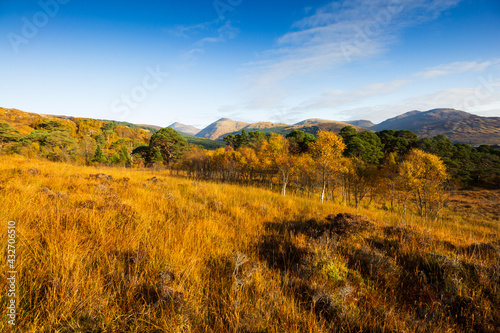 Scottish mountains in autumnal colors 