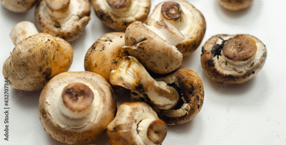 Raw and fresh mushrooms on a white background, vegetables from an organic farm Raw and fresh mushrooms on a white background, vegetables from an organic farm