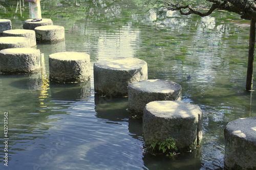 stones for walk in the pond