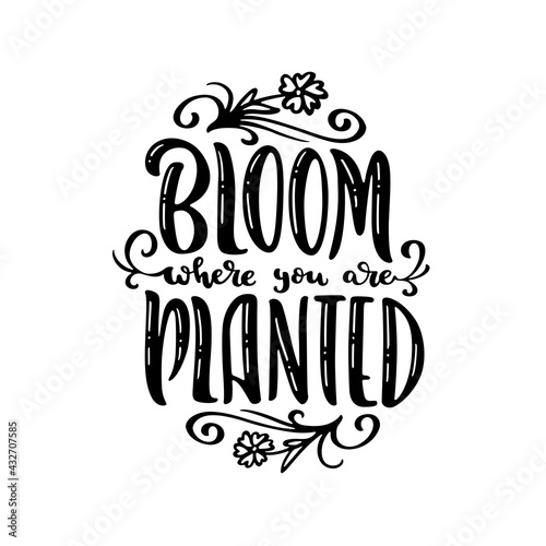 Bloom where you are planted hand drawn quote lettering. Floral motivational typography design. Perfect for t-shirt prints  posters. Vector vintage illustration.
