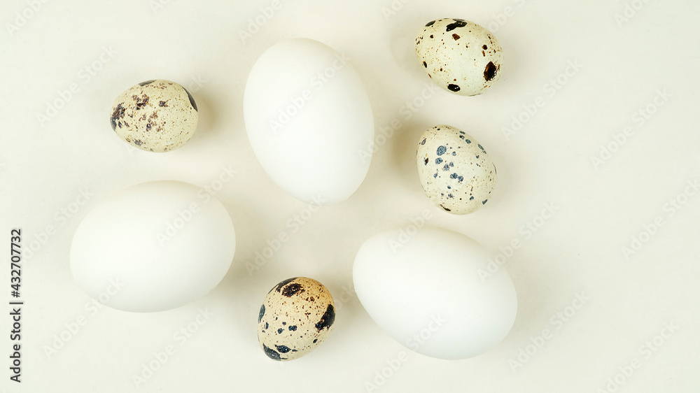Chicken and quail eggs of different sizes are many