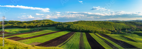 Countryside spring panorama sunny day green grass agriculture field and forest © b. Sergiu