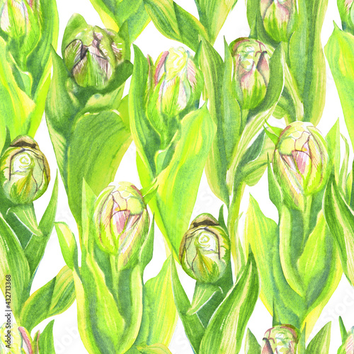 Seamless pattern of pink peony-shaped tulips in watercolor