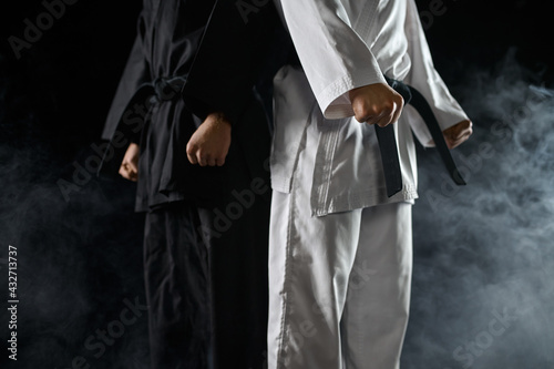 Two male karatekas in white and black kimono photo