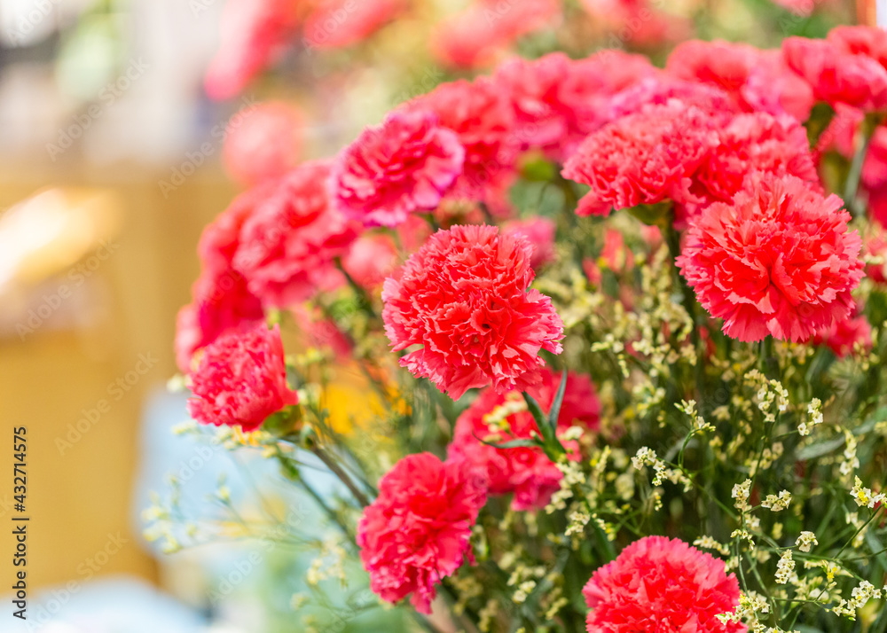 Bunch of red Canation flowers, copy space Bunch of red Canation flowers, copy space