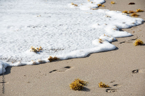 Surf washing away footprints in sand
