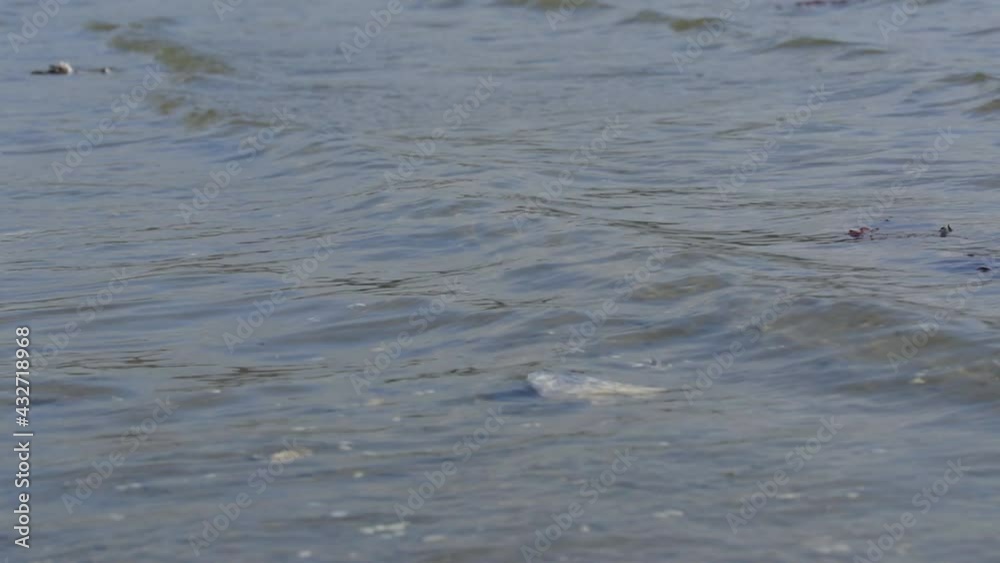 Small waves in shallow waters in slow motion Small waves in shallow waters in slow motion