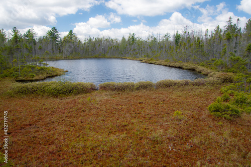 Beautiful lake near a bog in the province of Quebec, Canada
