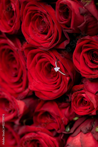 Engagement ring in red roses   gold ring with diamond