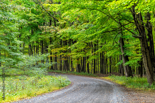 Colorful yellow and green foliage in autumn fall season in Dolly Sods in West Virginia in National Forest Park with dirt road path curve driving point of view photo