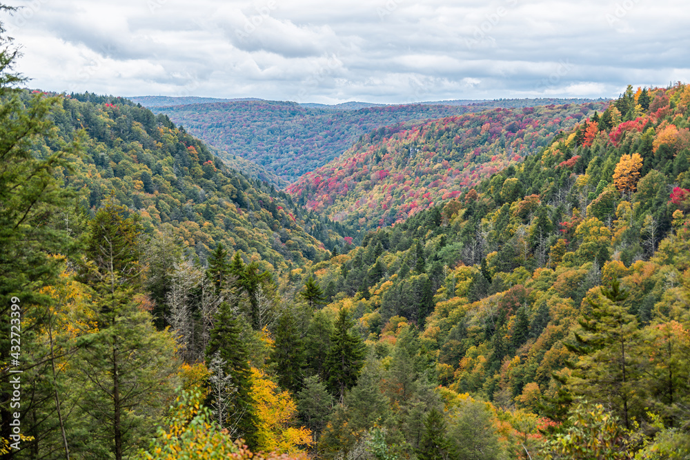 Colorful Allegheny mountains in autumn fall with multicolored red and yellow foliage at Lindy Point overlook in Blackwater Falls State Park in West Virginia, USA