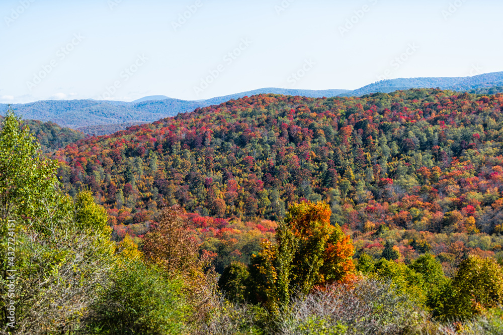 High angle aerial view on Cheat knob mountain in West Virginia Monongahela national forest Allegheny mountains overlook in autumn with colorful maple tree foliage on rolling hills