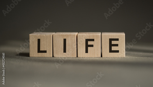 A wooden blocks with the word LIFE written on it on a gray background.