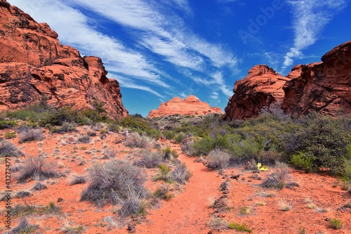 Saddleback Tuacahn desert hiking trail views  Padre Canyon   Cliffs National Conservation Area Wilderness  Snow Canyon State Park St George  Utah  United States. USA.