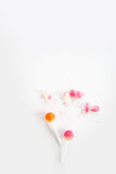lollipops on white table cake macaroons pink
