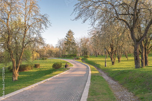 Walking in the Park. Beautiful landscape.