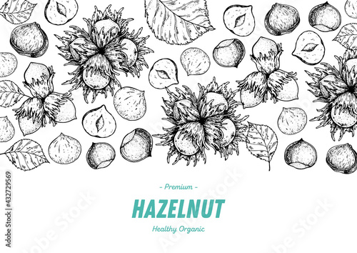 Hazelnut nuts hand drawn sketch. Nuts vector illustration. Organic healthy food. Great for packaging design. Engraved style. Black and white color.
